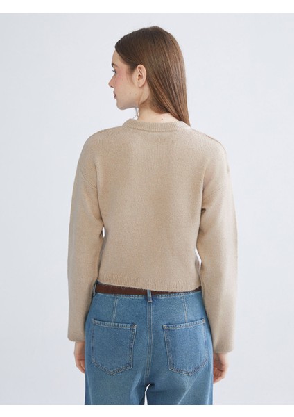 Yeni Sezon Bisiklet Yaka Kadın Triko Hırka fırsatları