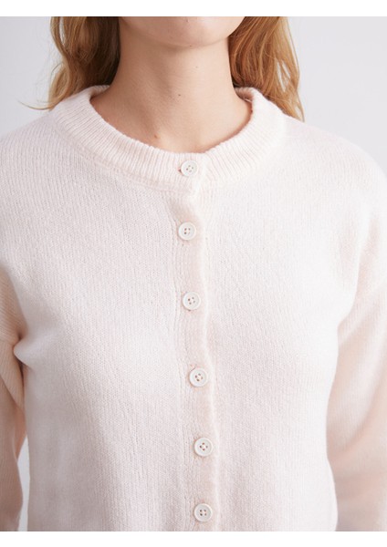 Yeni Sezon Bisiklet Yaka Kadın Triko Hırka modelleri