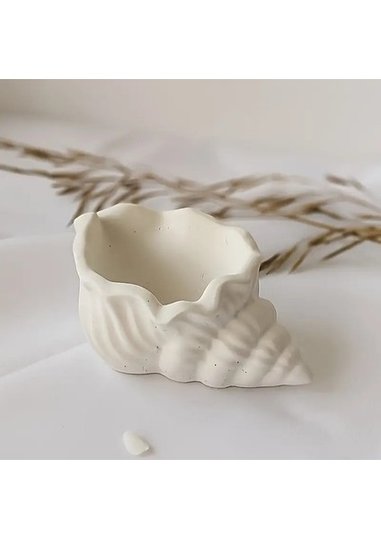 Dekoratif Hediyelik Ikili Bebek Pudrası Kokulu Deniz Kabuğu Ahşap Fitilli Mum