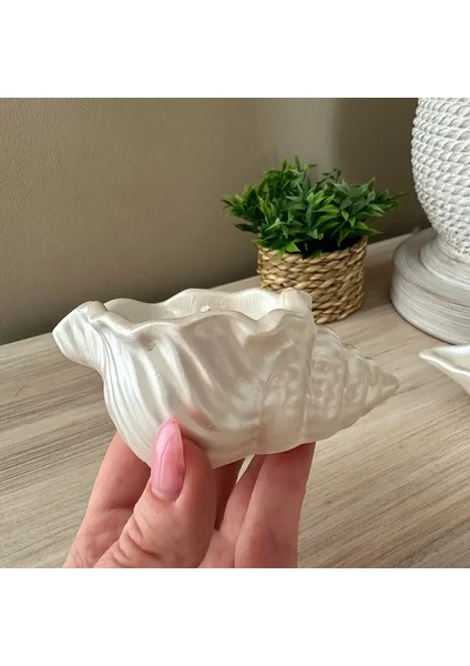 Dekoratif Hediyelik Ikili Bebek Pudrası Kokulu Deniz Kabuğu Ahşap Fitilli Mum modelleri