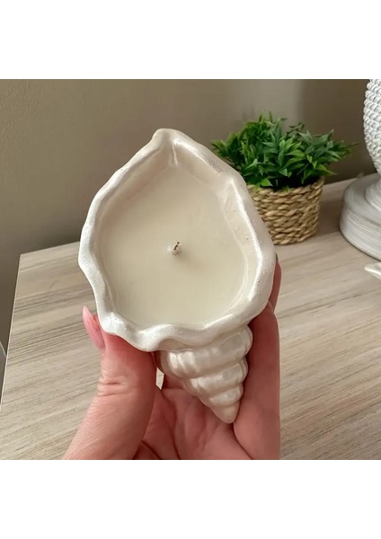 Dekoratif Hediyelik Ikili Bebek Pudrası Kokulu Deniz Kabuğu Ahşap Fitilli Mum fırsatları
