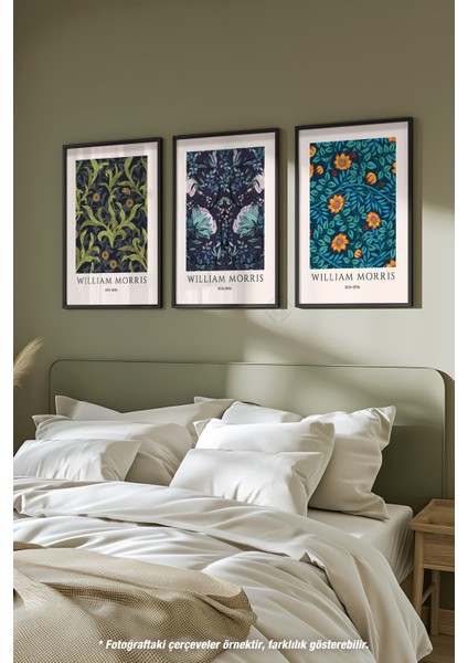Çiçek Desenli Morris 3'lü Siyah Çerçeveli Poster, Tablo Seti No:43 fiyatları