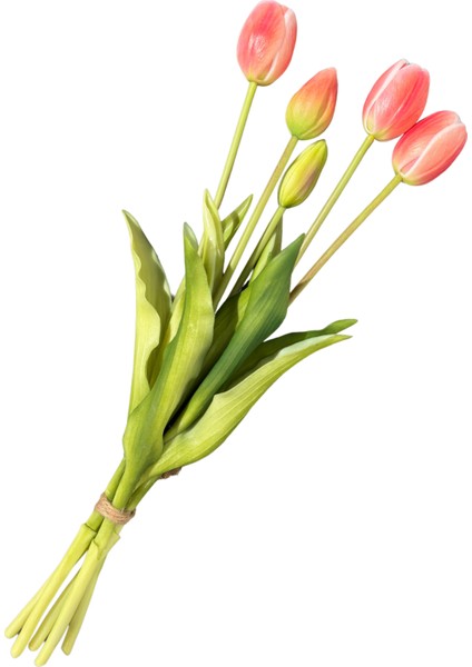 Yapay Islak Somon Lale Demeti