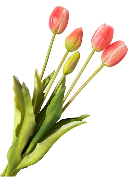 Yapay Islak Somon Lale Demeti fiyatları