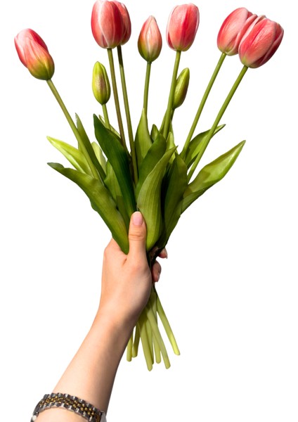 Yapay Islak Somon Lale Demeti fırsatları