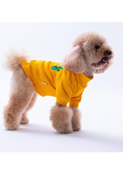 Sarı Cactus Kaktüs Nakışlı Esnek Kedi Köpek Sweat- Kedi Köpek Kıyafeti fırsatları