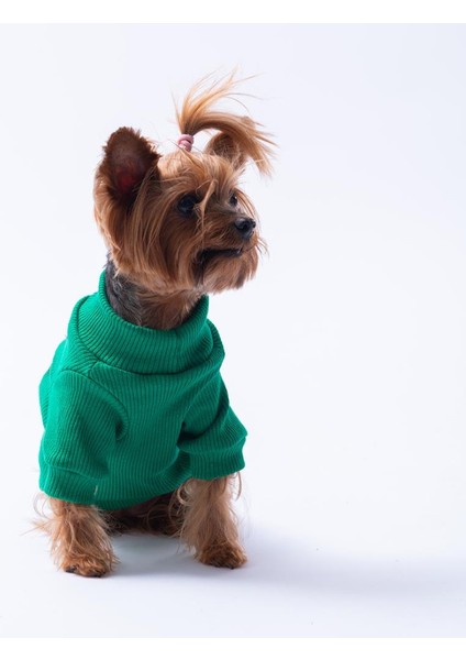 Yeşil Avocado Avokado Nakışlı Esnek Kedi Köpek Sweat- Kedi Köpek Kıyafeti indirimleri