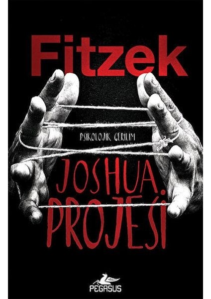 Joshua Projesi