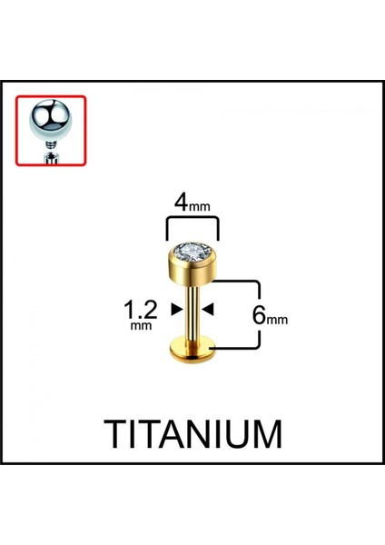 Yüksek Kalite G23 Tek Taş Titanyum Dudak Helix Tragus Kıkırdak Piercingi