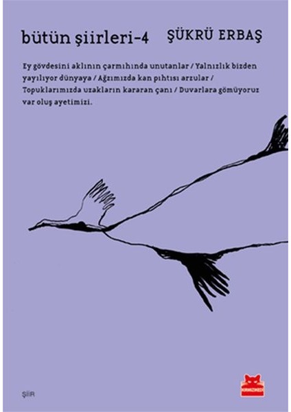 Bütün Şiirleri 4