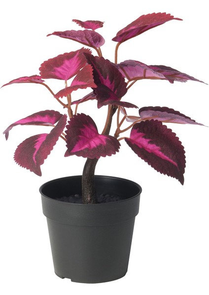 Yapay Bitki, Kırmızı, 9 Cm, Kadife Çiçeği, Iç/dış Mekan