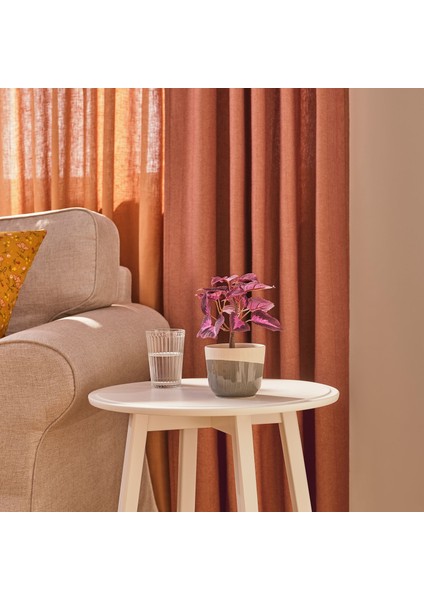 Yapay Bitki, Kırmızı, 9 Cm, Kadife Çiçeği, Iç/dış Mekan fiyatları