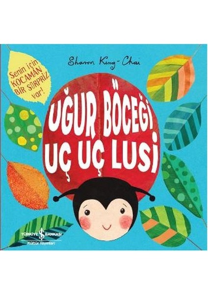 Uğur Böceği Uç Uç Lusi