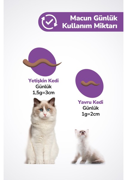 Kısırlaştırılmış Kedilere Özel Multivitaminli Malt Macun - Sterile Kısır Kedi Maltı 2x 100 gr modelleri