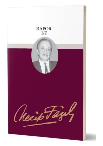 Rapor 1/2