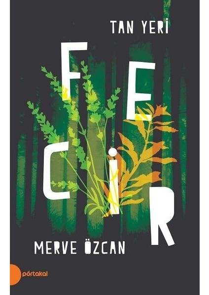 Fecir - Tan Yeri 2