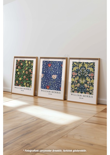 Morris 3'lü Ahşap Çerçeveli Poster, Tablo Seti No:45 fırsatları