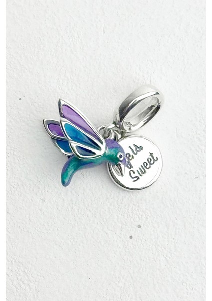Renkli Sinekkuşu Sallantılı Gümüş Charm