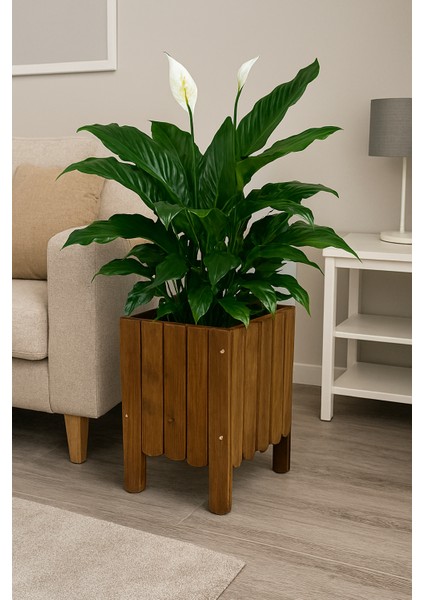 Saksı Ahşap Saksı Çiçeklik Dış Mekan Saksılık