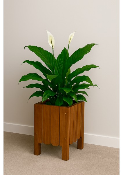 Saksı Ahşap Saksı Çiçeklik Dış Mekan Saksılık fırsatları