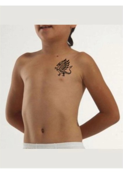 Yürüyen Kanatlı Ejder Tattoo Geçici Dövme Şablonları Kına Kalıpları fiyatları
