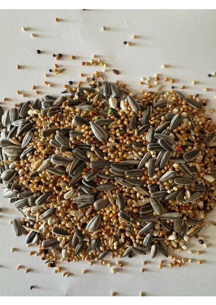 Sultan - Cennet Papağanı Yemi 1 kg - Papağan Yemi fiyatları