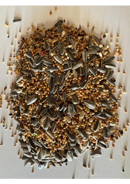 Sultan - Cennet Papağanı Yemi 1 kg - Papağan Yemi