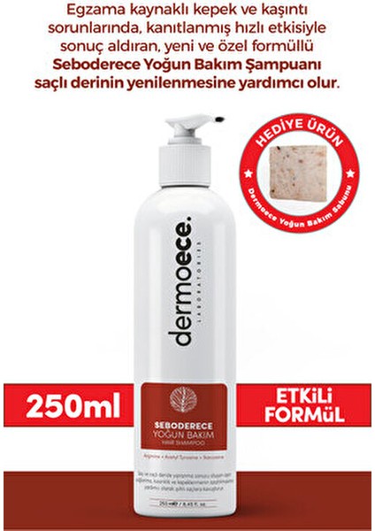 Bakım Şampuanı Onarıcı Etkiyle Boyalı Saçlar İçin 250 ml Parabensiz Formül fırsatları