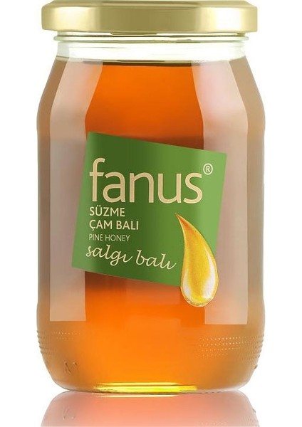 Çam Balı 460 gr modelleri