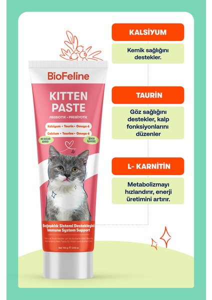 Kitten Paste 100 Gr. ( Yavru ve Anne Kedi Macunu ) modelleri