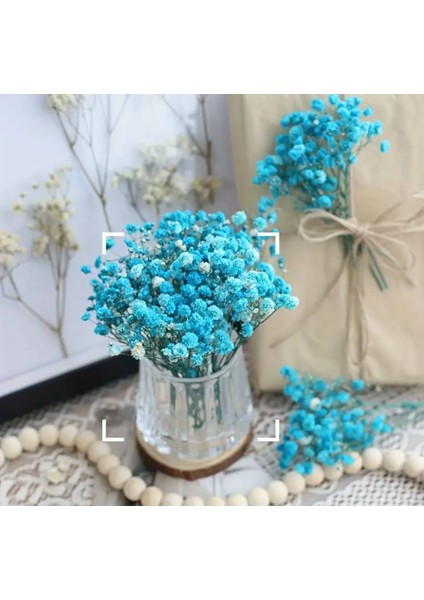 Kuru Çiçek Şoklanmış Mavi Mini Cipso Buketleri 50 Dal