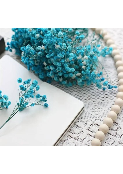 Kuru Çiçek Şoklanmış Mavi Mini Cipso Buketleri 50 Dal fiyatları