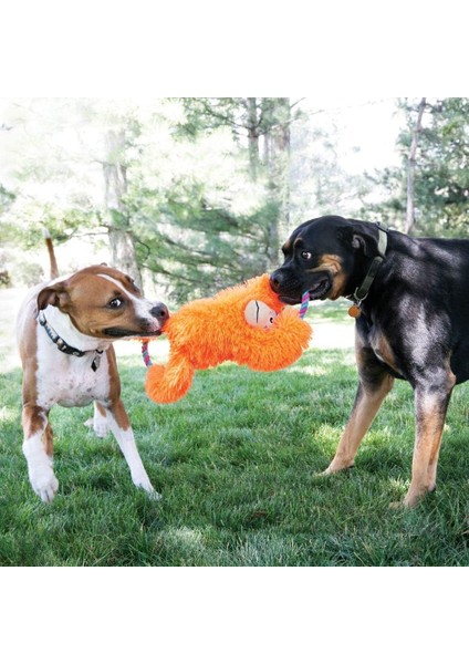 Tuggz Maymun Köpek Oyuncağı, Xl fiyatları
