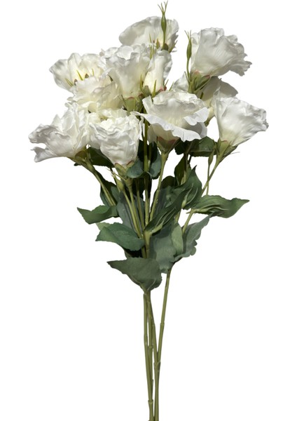 Beyaz Lisyantus Demeti 4'lü