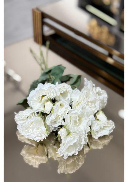 Beyaz Lisyantus Demeti 4'lü fiyatları