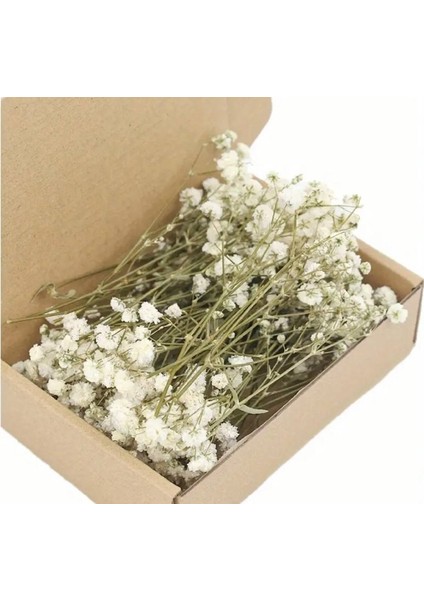 Kuru Çiçek Şoklanmış Mini Cipso Buketleri (50 Dal)