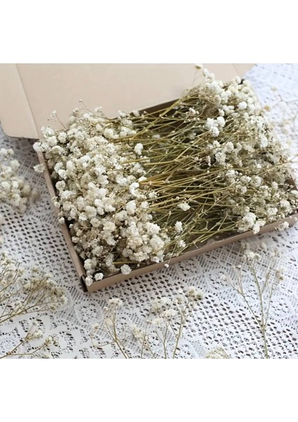 Kuru Çiçek Şoklanmış Mini Cipso Buketleri (50 Dal) fırsatları