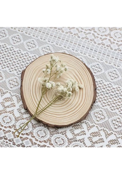 Kuru Çiçek Şoklanmış Mini Cipso Buketleri (50 Dal) indirimleri