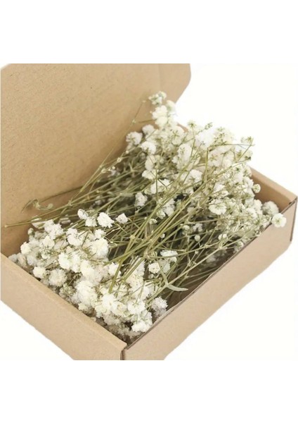 Kuru Çiçek Şoklanmış Mini Cipso Buketleri (50 Dal)