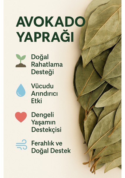 Avokado Yaprağı 40 gr – Doğal Bitki Çayı, Şifalı Yaprak, Sindirim ve Bağışıklık Desteği fiyatları