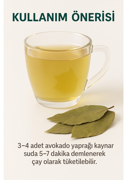 Avokado Yaprağı 40 gr – Doğal Bitki Çayı, Şifalı Yaprak, Sindirim ve Bağışıklık Desteği modelleri