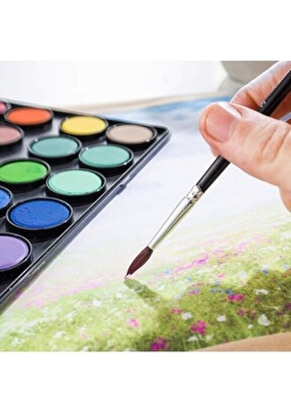 Art-X 24 Renkli Sulu Boya Seti Premium Kalite ile Sanatçılar İçin Tasarlandı modelleri