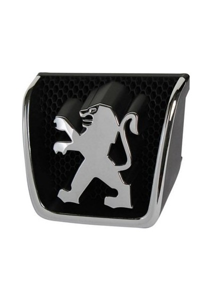 Ön Panjur Arma Peugeot 307 02-07