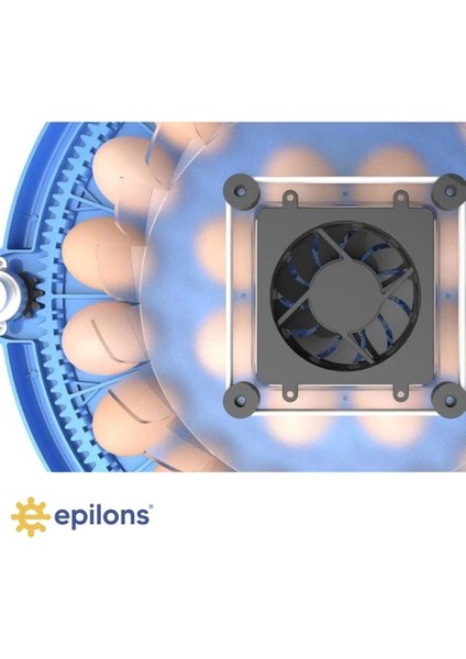 80/240 Kapasiteli Çift Viyollü Kuluçka Makinesi Kaz Ördek Tavuk Bıldırcın Kuşlar Için ( Lisinya )