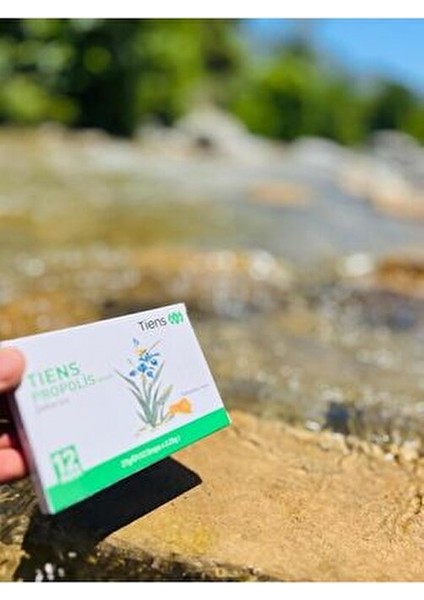 Propolis Şekersiz Drops 12 Adet Kapsül Ballı Aroma ile Doğal Destek