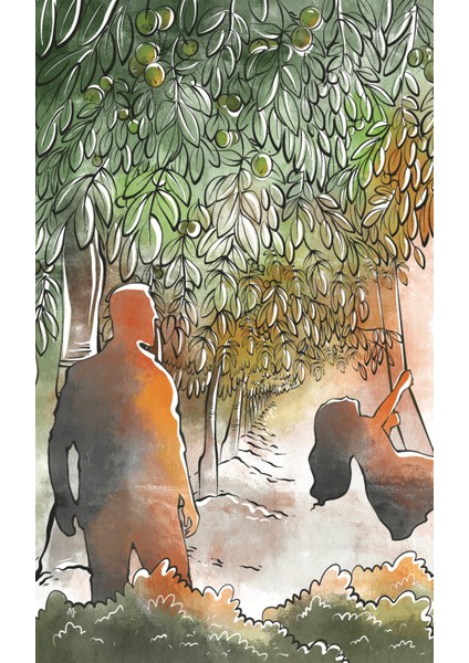 Ağaçkakanlar - Cahit Zarifoğlu modelleri