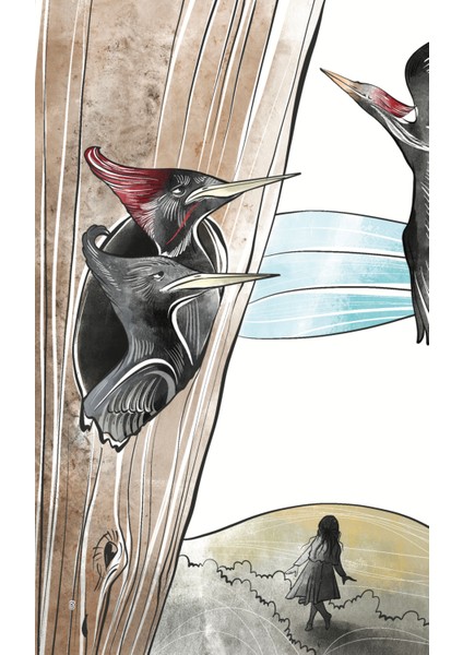 Ağaçkakanlar - Cahit Zarifoğlu