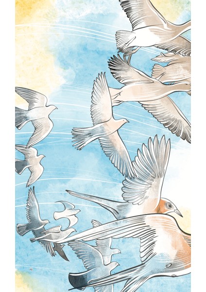 Kuşların Dili - Cahit Zarifoğlu fırsatları