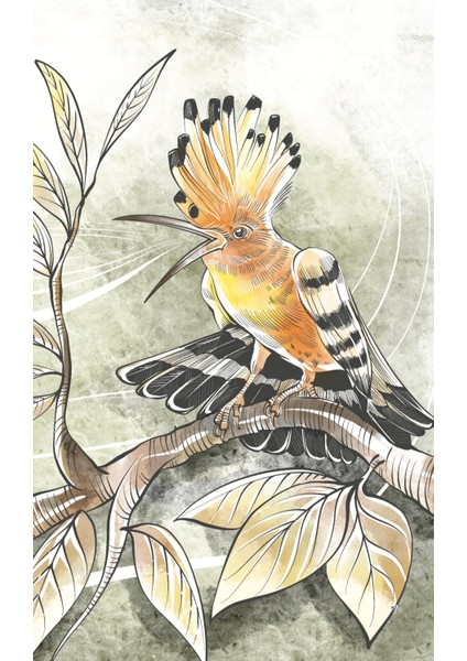 Kuşların Dili - Cahit Zarifoğlu