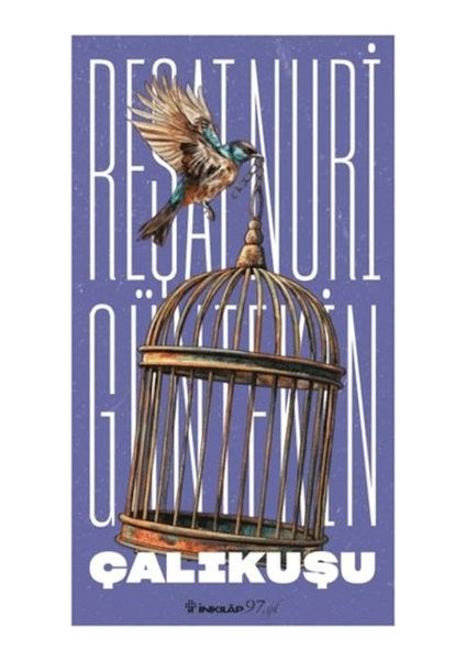 Çalıkuşu (Yeni Kapak)